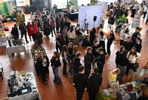 I LO: zobacz jak wyglądały targi edukacyjne