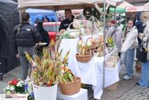 Lipnica Murowana - kto wykonał najwyższą palmę?