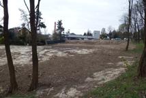 Jak dęby katyńskie przeszkodziły Lidlowi - sprawdź!