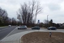 Jak dęby katyńskie przeszkodziły Lidlowi - sprawdź!