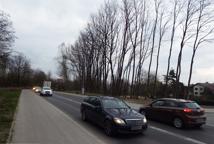 Jak dęby katyńskie przeszkodziły Lidlowi - sprawdź!