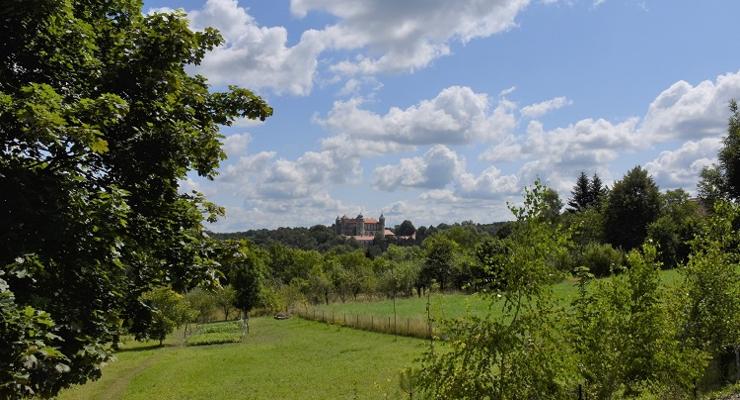 Skąd najlepszy widok na zamek w Wiśniczu?