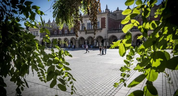 Na Rynku krakowskim będą rosły drzewa