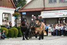 Lipnica ma 700 lat - na Rynku odegrano historyczne widowisko