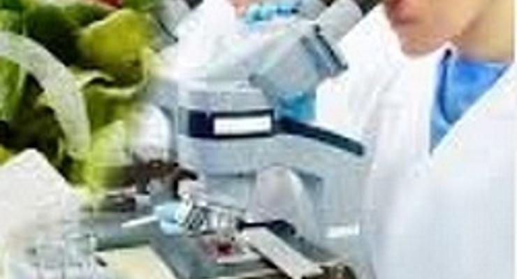 Oferta współpracy z firmami spożywczymi i budowlanymi