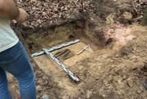 Bezcenne grzywny odkryte w podbocheńskim lesie