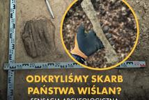 Bezcenne grzywny odkryte w podbocheńskim lesie
