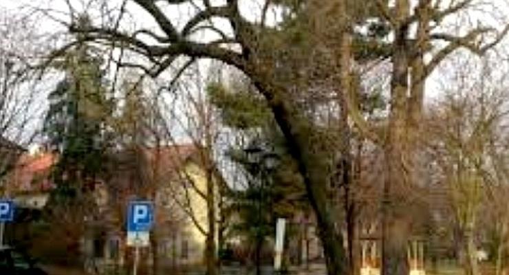 Dokumentacji na rewaloryzację Plant nie będzie