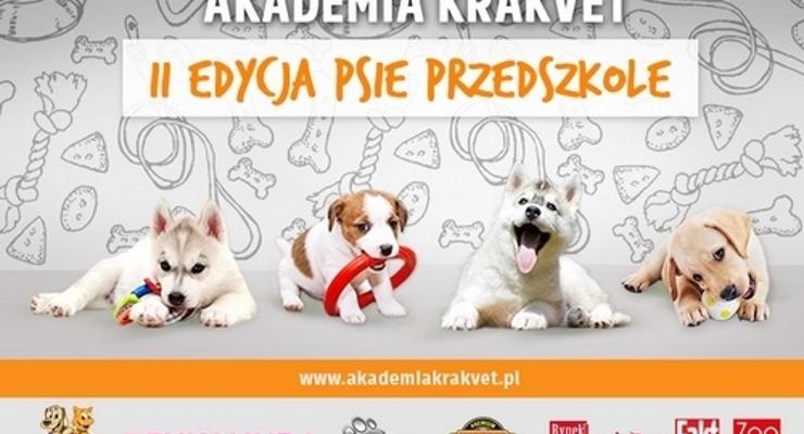 Zielone trawniki, kulturalne chodniki...