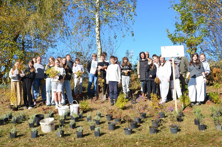 W Lipnicy ratują pszczoły
