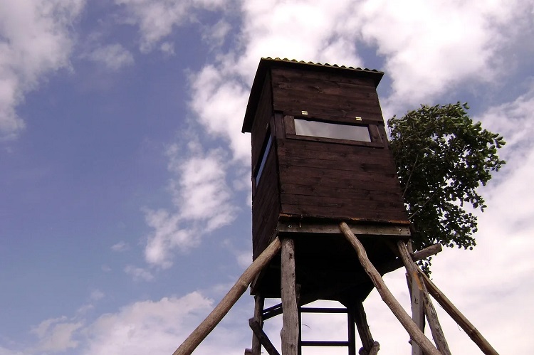 Sezon polowań już otwarty